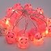 Smart Life Helper Hippo Indoor Outdoor Decor String Light,Cute Party Bedroom Garden Decorations Ornaments Supplies, Battery Operated 10 LED Decorative