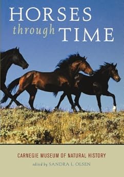 Horses Through Time Sandra Olsen Sandra L Olsen