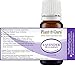 Lavender Essential Oil 10 ml (Bulgarian) 100% Pure Natural Undiluted Therapeutic Grade for Skin, Body and Hair Growth, Aromatherapy Diffuser, Great for Relaxation and Calming.
