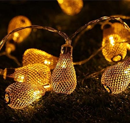 Pragart New Waterdrop String 16- Led Decorative Light,Warm White