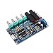 Maluokasa XH-M173 Karaoke Microphone Amplifier Stereo PT2399 AC 12V Dual Power Supply Audio Amplifier Module DIY Sound System Componentthumb 1