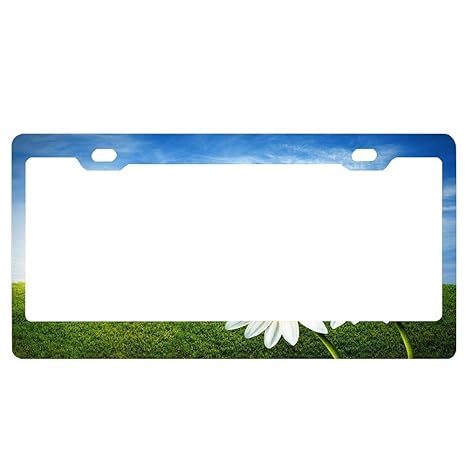 Personalized Novelty License Plate Custom Decorative License Plate