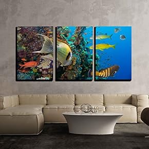 3 Piece Canvas Wall Art - Colorful Underwater Offshore Rocky Reef with Coral and Sponges - Modern Home Art Stretched and Framed Ready to Hang - 16"x24"x3 Panels