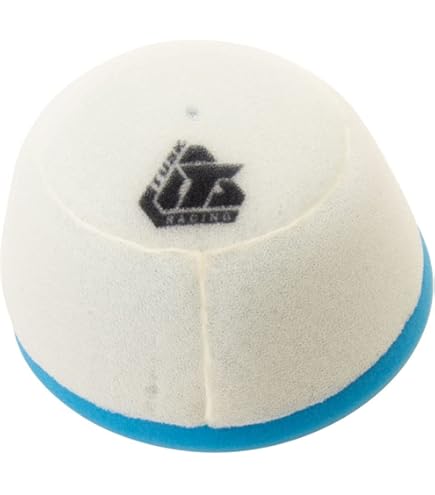 Amazon.com: Kawasaki OEM Air Filter Ninja ZX1000 ZX10R 04-07 11013