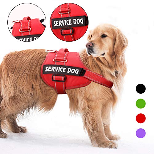 Service Dog Harness, NoPull Pet Harness Adjustable Outdoor Comfort Dog