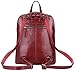 HESHE Women's Fashion Backpack Purse Multipurpose Design Convertible Satchel Handbags Shoulder Bag Travel bag (Wine-R)