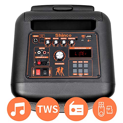 Shinco Karaoke Speaker with Party Lights - Dual 8 Inch Subwoofer Portable Karaoke Machine