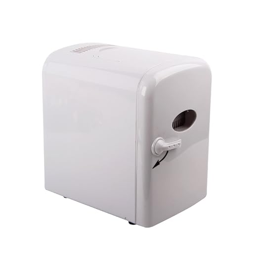 Compra SL&BX Las vacas refrigerador, 4l mini nevera coche nevera ...