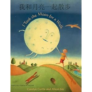 I Took the Moon for a Walk (Chinese Edition)