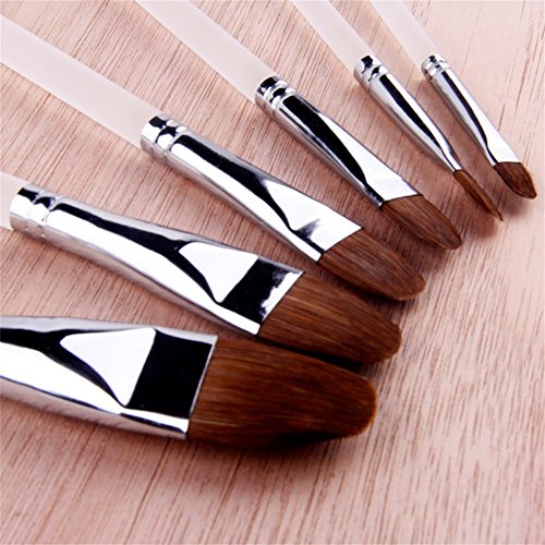 6Pcs Red Sable Hair Paint Brushes for Acrylic Oil Gouche Watercolor Painting Clear Plastic Handle