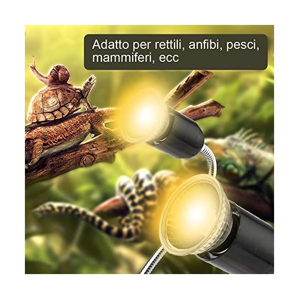 GOLDGE Tartaruga Illuminazione, 25W Basking Lampada Alogena Calore Retroilluminazione UVA UVB per Rettile Lucertola… GOLDGE GOLDGE Tartaruga Illuminazione, 25W Basking Lampada Alogena Calore Retroilluminazione UVA UVB per Rettile Lucertola…