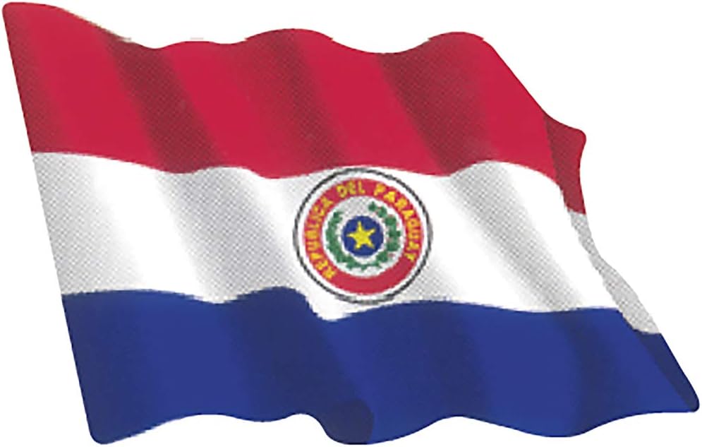 Artimagen Pegatina Bandera Ondeante Paraguay pequeña 65x50 mm.: Amazon.es: Coche y moto