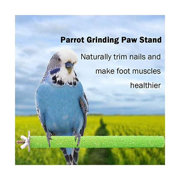 Wudong 6 Pezzi posatoi per pappagalli, Gabbia per Uccelli Colorata Scrub Stand Bar per Uccelli pappagalli pappagallini… Wudong Wudong 6 Pezzi posatoi per pappagalli, Gabbia per Uccelli Colorata Scrub Stand Bar per Uccelli pappagalli pappagallini…