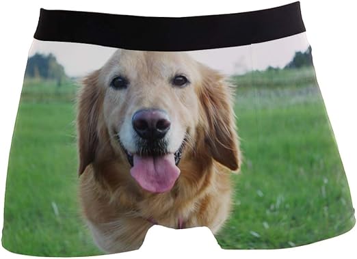Golden Retriever Puppy Animal Dog Boxer Briefs For Men Boy Youth