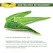 Aloe Vera Plant Juice Spray - Pure Raw Plant Gel, Soothing Moisturizer Relief for Sunburn, Eczema, Razor Bump, Acne & Dry, Damaged Aging Skin - Add To Lotion, Shampoo & Cream (16 oz)