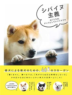 空港で頭の柴犬にお出迎えされたい この夢 島根県で叶います Togetter
