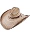 Charlie 1 Horse Men's Coyote Straw Cowboy Hat Natural One Size