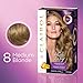 Clairol Age Defy Expert Collection, 8 Medium Blonde, Permanent Hair Color, 1 Kit (PACKAGING MAY VARY)
