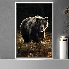 signwin Framed Canvas Wall Art Bear Animals Bear...