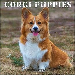 Buy Corgi Puppy 2021 Wall Calendar Corgi Puppy Calendar 2021 18 Months Book Online At Low Prices In India Corgi Puppy 2021 Wall Calendar Corgi Puppy Calendar 2021 18 Months Reviews Ratings Amazon In
