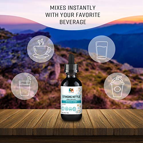 Stinging Nettle Root Liquid Extract 2 fl. oz. Organic Urtica Dioica