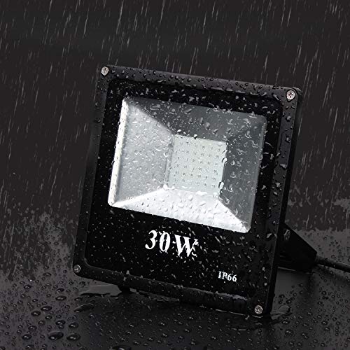 TOPLANET 30W UV Black Light Flood Light Bulb, UV Flood Light IP66 Waterproof Outdoor Stage Light for Blacklight Parties, Fluorescent Poster, Body Paint, DJ Disco Night Clubs, Glow in Dark Party-2 Pack