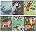 2019 Desktop Flip Calendar - Monthly Standing Desk Calendar, Safari Animals Critter Collection Design, Easel Style Top Spiral Bound, 6 x 3 x 7.8 Inches