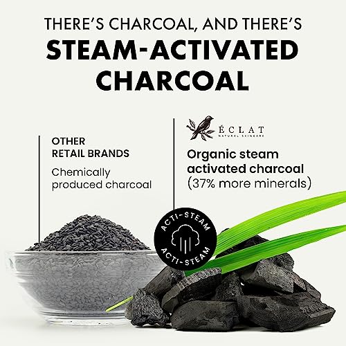 DETOXIFYING CHARCOAL BLACKHEAD PEEL OFF FACE MASK – BLACK HEAD REMOVER MASK FOR FACE WITH KAOLIN+BENTONITE CLAY, ORGANIC BLACKHEAD REMOVAL FACE MASKS, SKINCARE FACE CARE KIT PORE MASK, BLACKHEAD EXTRA