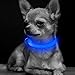 BSEEN Light Up Dog Collar - Reflective LED Dog Collar Rechargeable Glowing Cat Collars Adjustable Puppy Collar Safety Dog Lights for Night Walking (Blue, XS)