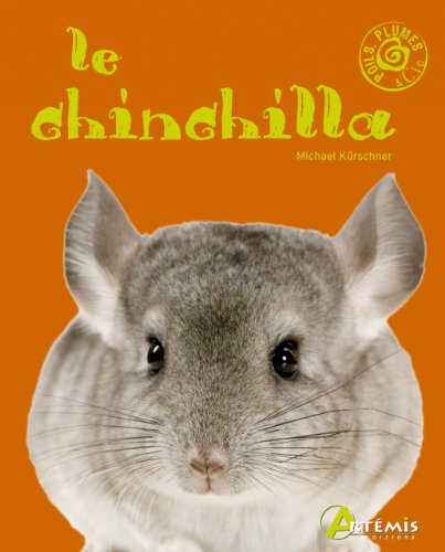 Le  chinchilla