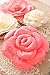 3D Large Paper Flower Decorations For Wall (Pink,Ivory,Bright Pink,6Pcs) Handcraft Flowers For Birthday Wedding Flowers Backdrop Nursery Wall Decor Baby Showers Bridal Shower Party Flowers Decor