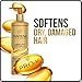 Pantene Gold Series Argan Oil from ProV for Natural and Curly Textured Hair, Sulfate Free Shampoo, 8.5 Fl Oz