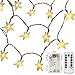 echosari [Remote & Timer] Battery Operated Christmas Star LED String Lights 16 Feet 50 LED Fairy String Lights for Indoor & Outdoor Garden, Wedding Decoration (Warm White)