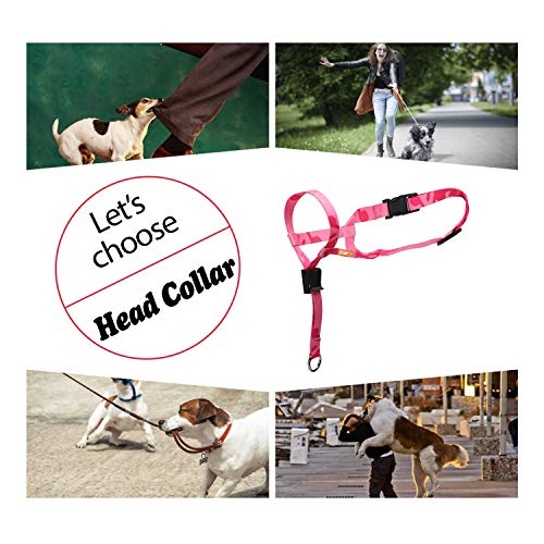 wintchuk Patterned Dog Head Collar with 2 Colorful Designs, Head Harness Stops Dog Pulling, Head Leash(M,Spring Flower) - Thumbnail 6