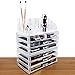 Ikee Design Cosmetics Makeup and Jewelry Storage Case Display for Lipstick, Nail Polish, Brushes, Jewelry and More, Clear