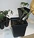 48 Transplant/Seedling Plastic Pots (3.25 Inch) and Transplant Tool (Bundle of 2) Total 49 Pieces
