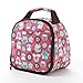 Fit & Fresh Gabby Insulated Lunch Bag with Zipper, Rainbow Owl