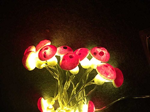 Sunniemart 20 LED Warm White String Light Battery Operated Mushroom Fairy Lights for Christmas, Wedding, Party Decoration