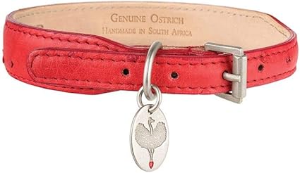 ostrich dog collar