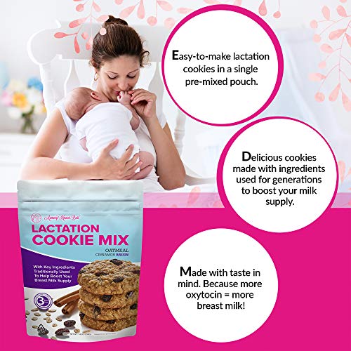 Lactation Cookies Mix Breastfeeding Supplement Oatmeal Cinnamon Raisin