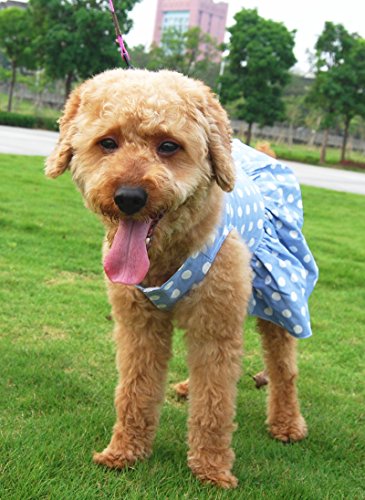 Alroman Dog Dresses Pets Clothes Pet Dresses Doggie Skirt Puppy Clothes Dog Clothes Puppy Apparel Cat Dresses Dog Outfits (XS, Blue Dot)