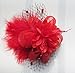 Cizoe Women's Fascinators Hat Hair Clip Feather Wedding Headware Bridal 1920s Headpiece(1-red)