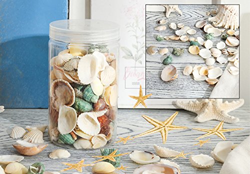 4 Famoby+Seashells+Starfish+Decorations+Supplies