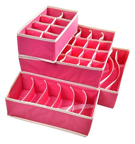 Kobwa(TM) Hot Pink Drawer Dividers Closet Organizers Bra Underwear Storage Boxes(Set of 4) With Kobwa's Keyring