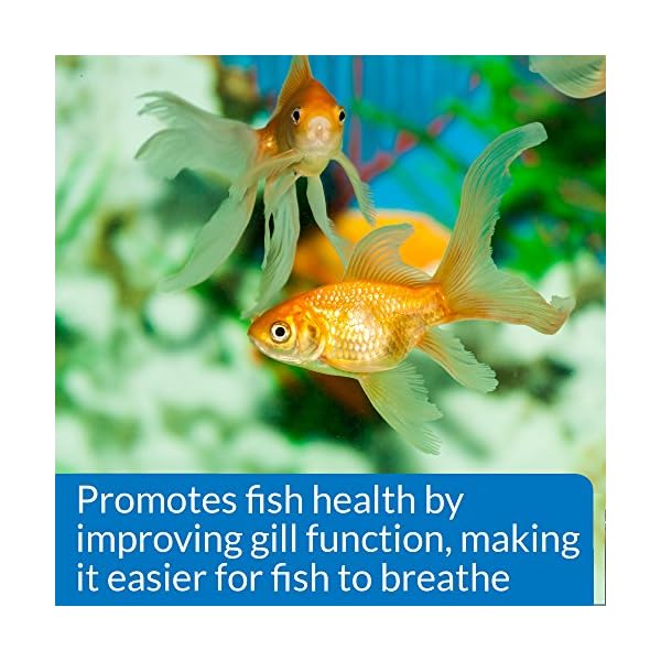 API AQUARIUM SALT Freshwater Aquarium Salt 453-Gram Box