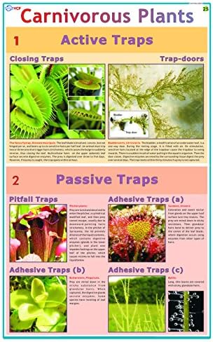 VCP Educational Laminated Litho Paper Carnivorous Plants Botany Wall Poster Chart