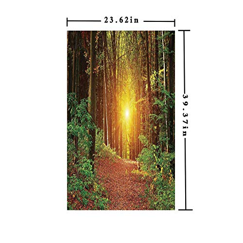 Homenon Window Films Privacy Decorate 3D No Glue Static,Magical Light Reflection Deep in Forest Birches Nature Fall Fantasy Scene,W15.7xL63in,No Glue Static Cling Glass Sticker with Green Brown