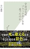 宇宙はなぜブラックホールを造ったのか (光文社新書)