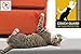 COUCH GUARD PINLESS Upholstery/Couch/Recliner CAT Claw Protector. Includes 2 SELF-Adhesive Protectors 18