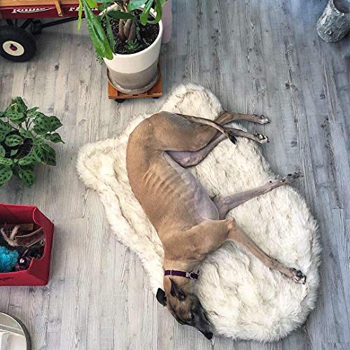 puprug amazon